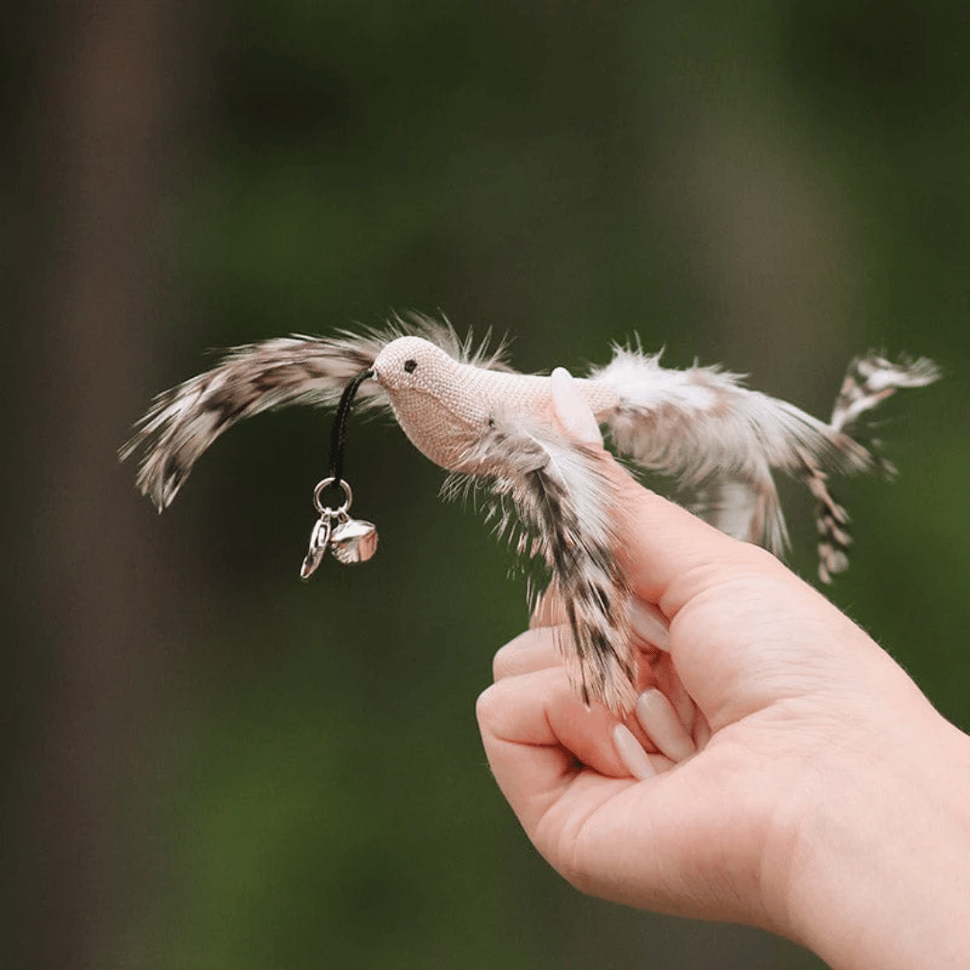 5Stk Ersatzvögel für den PinkiePro