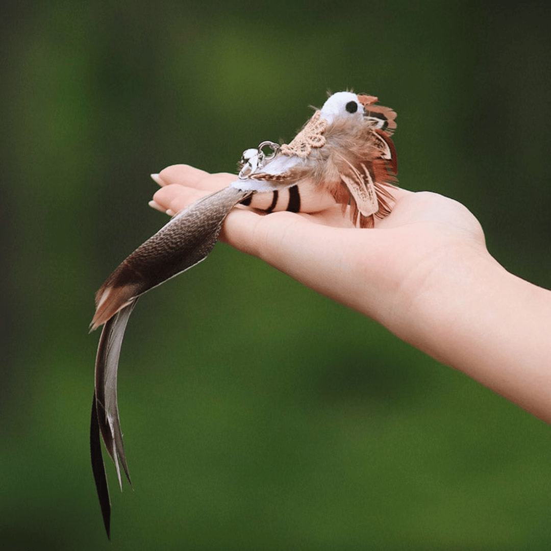 5Stk Ersatzvögel für den PinkiePro