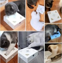 FunBox - Ultimativer Spaß für Deine Katze (42% Rabatt) - Lidio